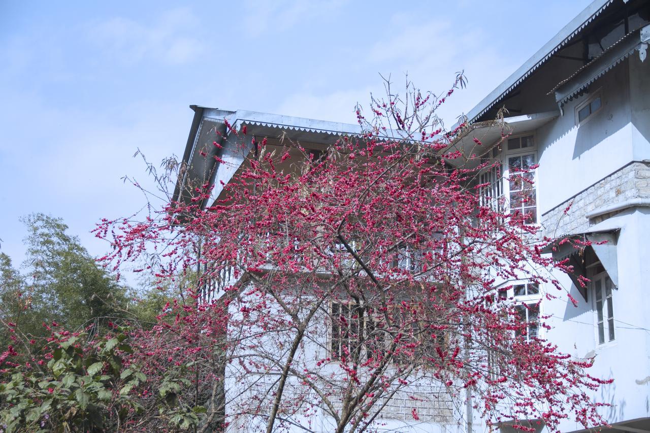 The Mazong Hotel Gangtok Zewnętrze zdjęcie